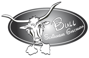 logo-bullbar